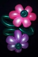balloon flowers